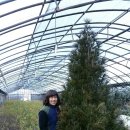 금송하우스 이미지