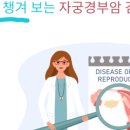 엘라 여성의원 이미지