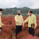 대산면주민자치센터 이미지