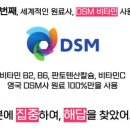 초이개발