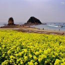 해안관광로 이미지