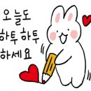 농업회사법인 곡성멜론주식회사 이미지