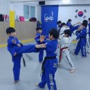 보라매태권도장 이미지