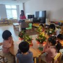 꿈열매유치원 | 병설 유치원 체험 활동 소망나무 편백 트리