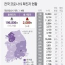 교회-학원-동호회-고시원 등 전국 곳곳서 신규 집단감염 속출 이미지