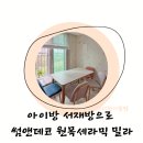 청산원목 | 아이방 서재방으로 꾸미기, 썸앤데코 밀라 원목 세라믹 테이블 올라 체어 식탁세트 후기