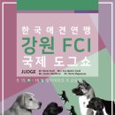 애견미용학원설민우