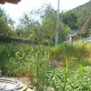 청풍한옥민박 이미지