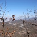 대성초교 이미지