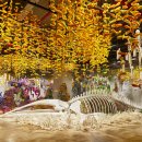 비엔날레병원 이미지