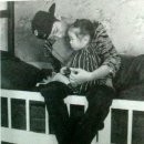 개귀여워 이미지