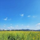 바디워크 | S바디워크 필라테스에서 활기차고 건강한 주말 시작한 리얼 후기