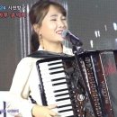 아코디언 이미지