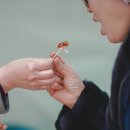 달삼커피