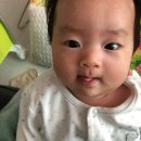 박인승소아과 네이버블로그