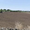 사계리-1 이미지