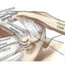 서울바른척도병원 이미지