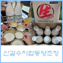 신갈수지 | 신갈수지합동양조장 막걸리 구매 후기(feat. 말통 가능 여부)
