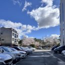 달샵 | [진주 초전동 관리샵] 달리스킨케어 전신 미네랄 디톡스 체험 후기/몸이 가벼워지는 힐링 관리 추천