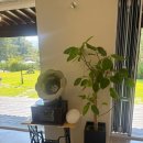 팔봉수피아 이미지