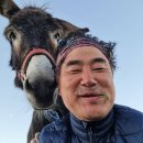 돈키호테 이미지