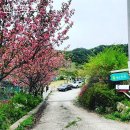 앤드퍼피 이미지