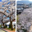 웰빙요가(야간) 이미지