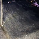 덕은크리닝 이미지