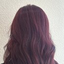 케이(K)메디칼 이미지