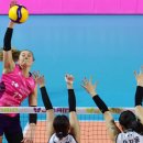 흥국생명 이미지