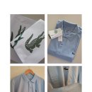 동일세탁 | 라코스테 남성 반팔 베이직 오토만 폴로 셔츠 신세계 구매후기:소재·사이즈·세탁방법 총정리