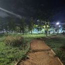 장성근린공원 이미지