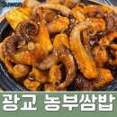 이집쭈꾸미 | 광교맛집 , 농부쌈밥 : 쭈꾸미 2인 정식 주문 후기