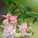 구암동112 이미지