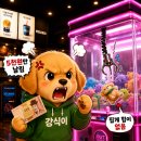 [영화] 군체, 화곡 메가박스리뷰 겸 영화 후기(빠른 전개와 뻔한 빌런의 아쉬움)