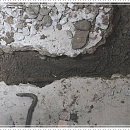 주흥6길 6 | 반포동변기막힘으로 하루가 멈춰버린 날, 결국 선택은 하나였다