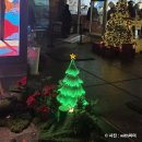 내계천 | 서울 청계천 빛축제 잉어킹｜빛트리 크리스마스 명소 분위기 후기 정보