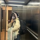 초원체육관 | [아일랜드 교환학생] 20250201~20250209 저 음식 블로거 아닙니다 🇮🇪
