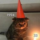 33인형뽑기 이미지