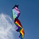 똘레랑스 이미지