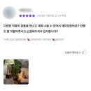 솔로오프 이미지