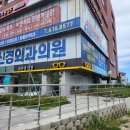 최선생안경 | 눈에 띄는 디자인으로 속초 조명간판 최선생안경 간판시공