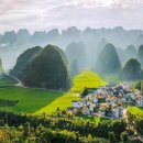 유채와바다 이미지