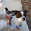 하주초등학교 이미지