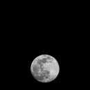 달이 떴다고 전화를 주시다니요 이미지