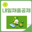 채움 | 청년 내일채움공제 후기+만기 수령 꿀팁