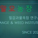 삐약이농장 이미지