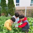 큰산어린이집 이미지