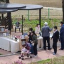 시립박물관 노리숲길 이미지