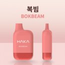 하카 1회용 전자담배 하카B !!